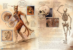 Interior spread showing the skeletal and muscular anatomy of Cheetah with annotated detail insets