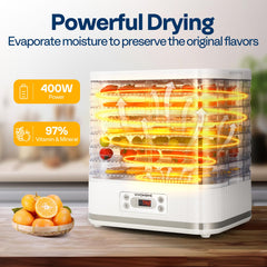 VIVOHOME Dörrautomat mit 8 Einlegefächern 400W BPA frei Dörrgerät mit Temperaturregler von 35°C bis 70°C inkl.72H Timer und Rezept für Fleisch,Obst,Haustier-Leckereiene